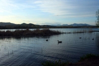 Llac de Banyoles