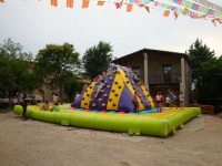 festa major infantil 2010